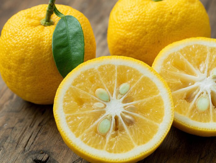 Aufgeschnittene Yuzu-Frucht mit saftigem Fruchtfleisch
