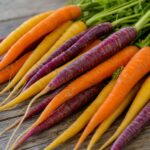 Bunte Karotten in Violett, Gelb und Orange mit Grün
