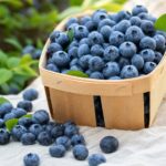 Frische Kulturheidelbeeren in einem Holzkörbchen