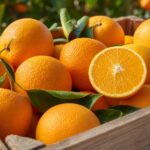 Orangen in einer Holzkiste, eine aufgeschnitten