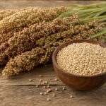 Sorghum-Rispen und eine Schale mit Körnern